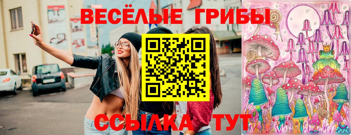Кострома  Псилоцибиновые грибы ЛСД  Вход с VPN 